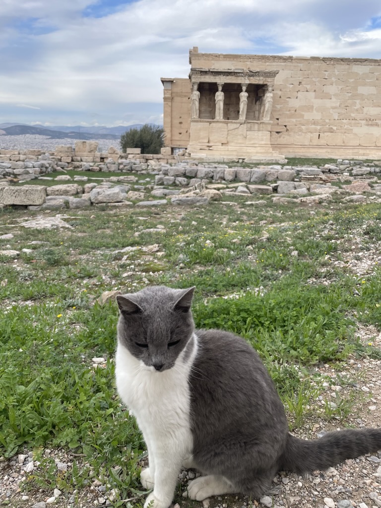 Athens travel photo 4