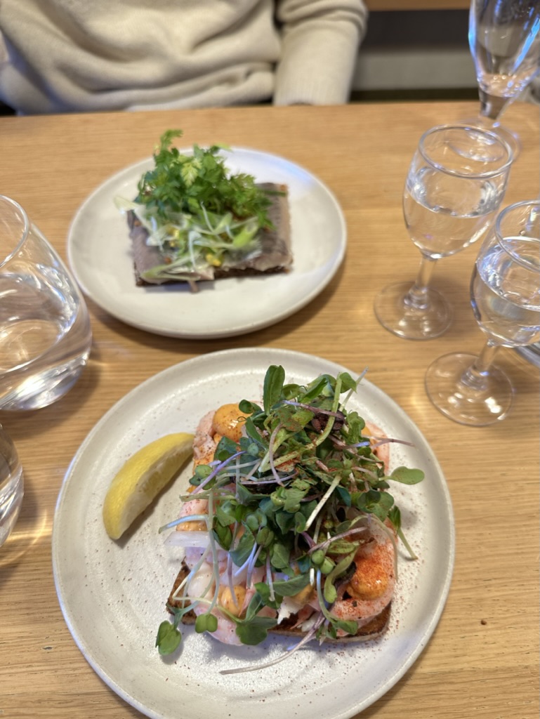 Copenhagen travel photo 8